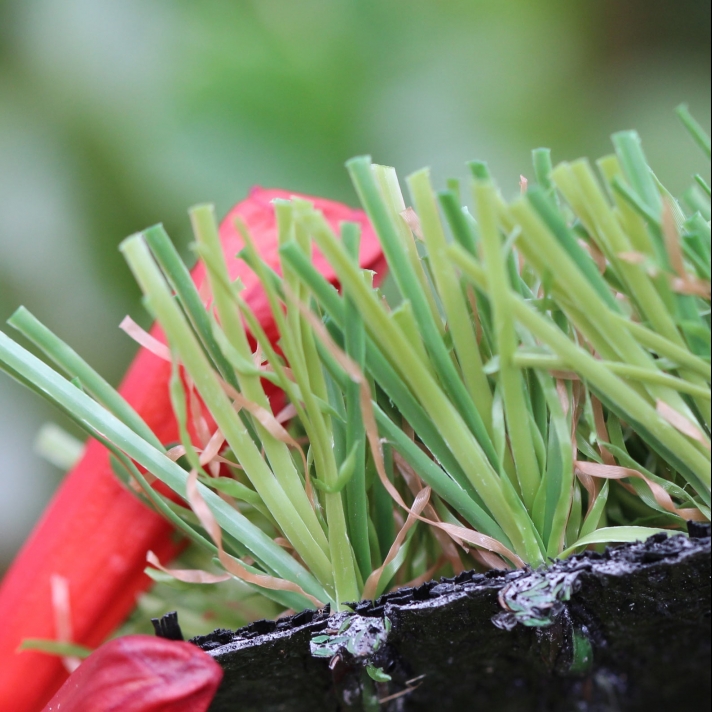 star-grass