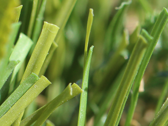 artificial-grass-s-blade-66-1