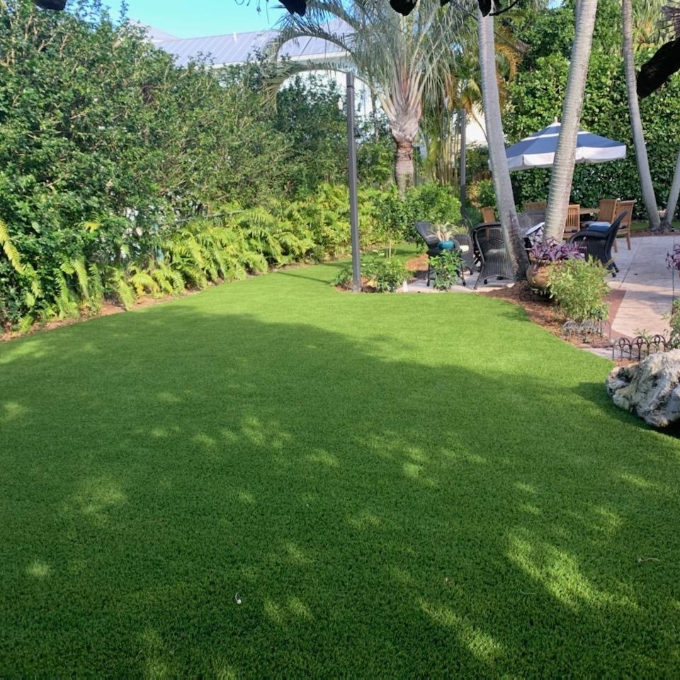 epixl-backyard