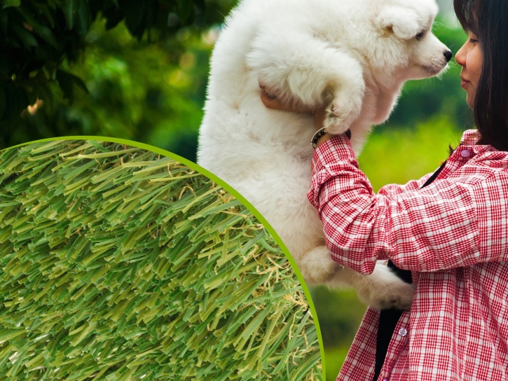 pet-turf-grass